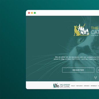Local SEO For London’s Newest Cat Clinic